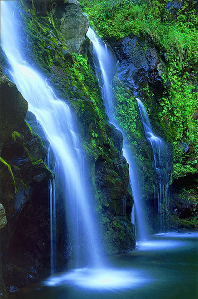 Sunny beach ,soft golden sand ,palms waterfall and tropical 