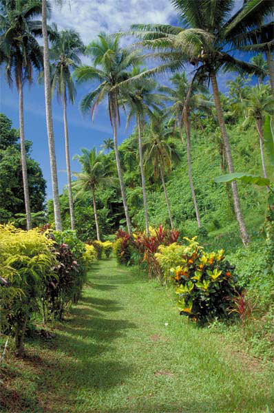 exotic island flowers