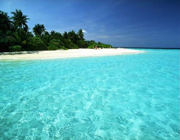 Paradise beach, island and water.